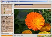 数码照片浏览器(bkViewer) 4.8w 绿色版
