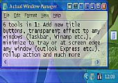 Actual Window Manager（窗口管理专家） 8.0 中文版