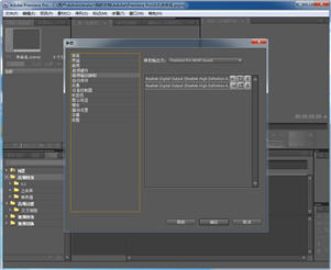 Adobe Premiere Pro CS4 4.01 中文绿色版