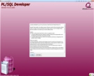 PLSQL Developer（集成开发环境） 9.06.1665中文破解(无需注册码)