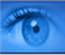 网眼监控软件（企业/家庭）