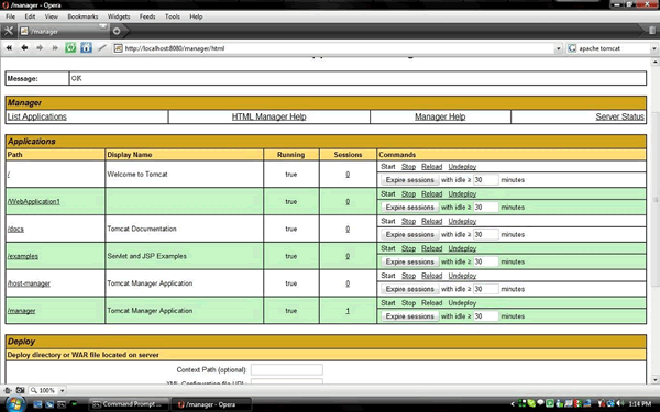 Apache Tomcat(Java服务器) 8.5.9 RC1