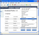 flashgot for Firefox 1.5.5.6 中文免费版