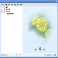 惊天远程控制器 8.8 简体中文版