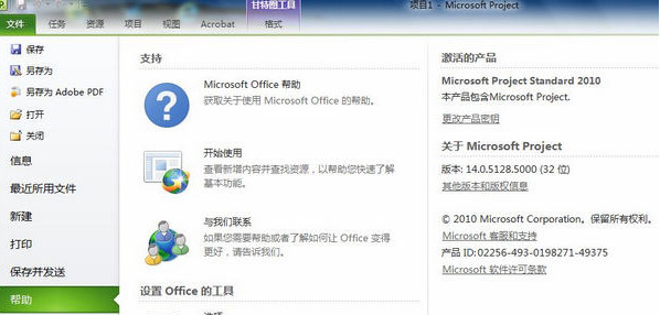 Microsoft Project 2010 64位