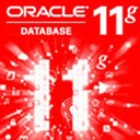 Oracle 11g数据库