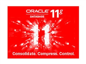 Oracle 11g数据库