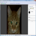 Pet Eye Fix Guide 照片眼睛修复软件 2.0.3 破解版