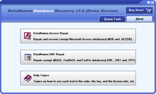 DataNumen Database Repair 2.0 免费版