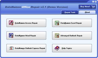 DataNumen Office Repair（数据修复） 2.1 正式版