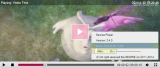 Sewise Player HTML5视频播放器插件 2.5.2