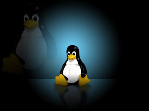 Linux Kernel（Linux系统内核） 5.6.5 正式版