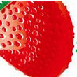 红草莓录屏软件 2.1 中文版