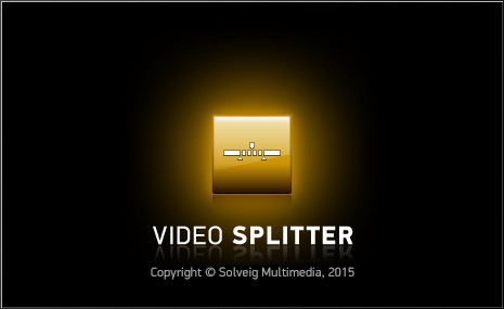 SolveigMM Video Splitter Business Edition（视频编辑工具） 5.2.1603.25 正式版（带激活码）