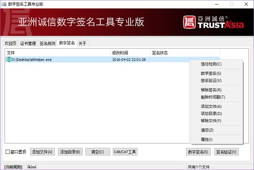 亚洲诚信数字签名工具专业版 3.1.0.0 最新版