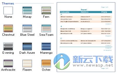 StimulReport.Net（NET报表成器）