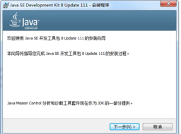 Java Runtime Development 10.0.2 绿色版