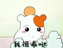 仓鼠管家表情包gif