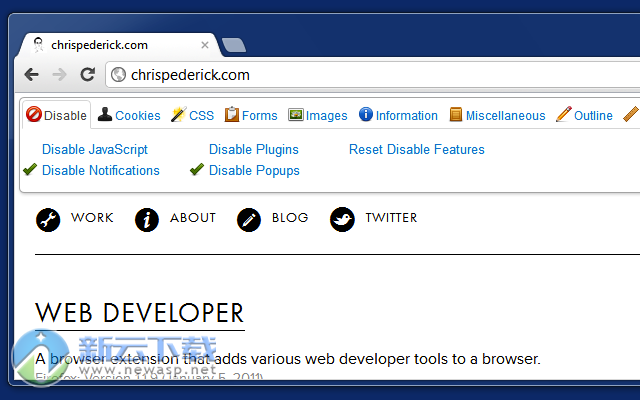 Web Developer Chrome