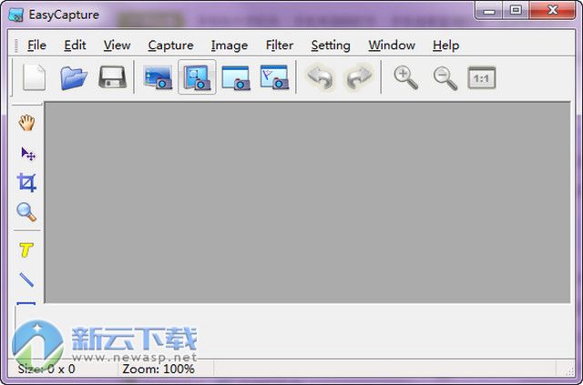 EasyCapture（抓图工具）