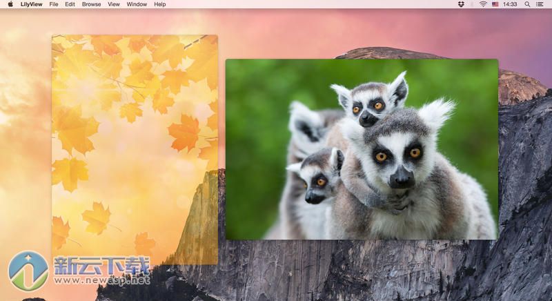 LilyView for Mac 1.2.3 破解