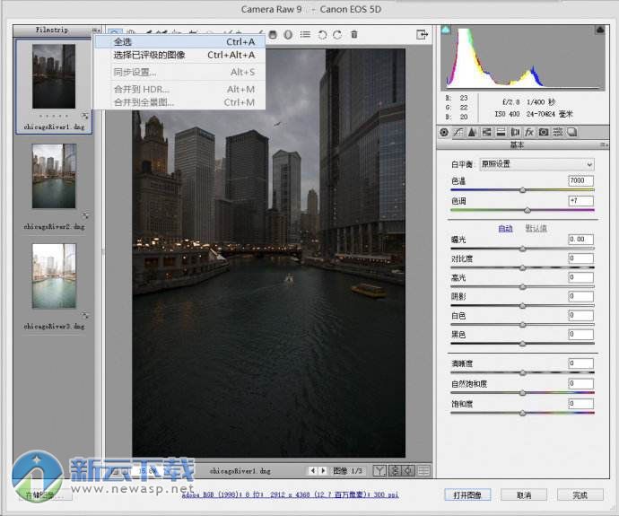 Adobe Camera Raw 中文版 10.3