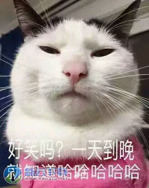 对于云养猫的网友来说这组表情包真的是必不可少的,各种可爱的猫咪配