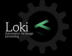 Digital Vision Loki 2017.1.004 破解