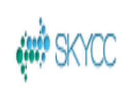 skycc外链百度存活与收录查询工具
