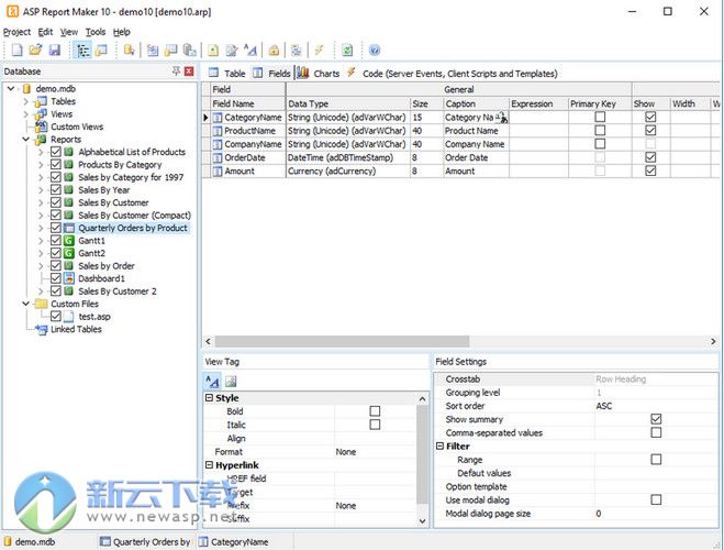 ASP Report Maker（报表生成工具）