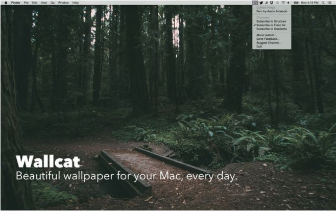 Wallcat for mac