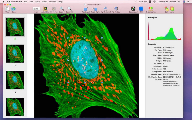 CoLocalizer Pro for Mac