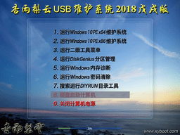 杏雨梨云USB维护系统2018戊戌版 02.02 最新版