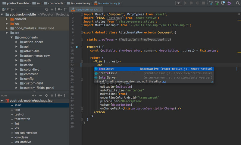 WebStorm 2018 for Mac 激活版