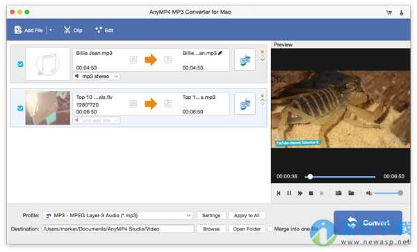 AnyMP4 MP3 Converter for Mac 8.2.6 破解