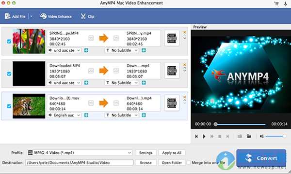 AnyMP4 Mac Video Enhancement for Mac 8.2.6 破解