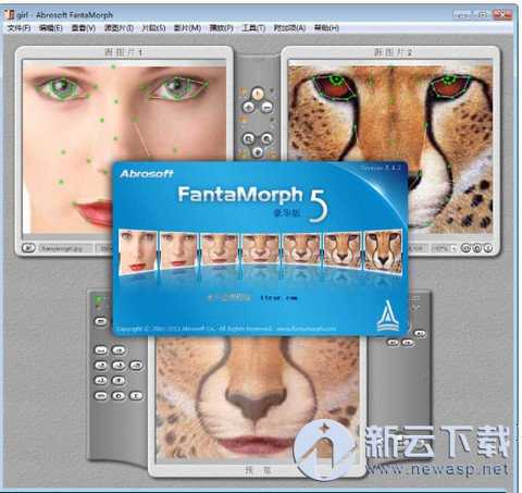 Abrosoft FantaMorph Deluxe(照片变脸) 5.4.3 中文免费版