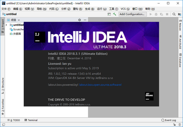 IntelliJ IDEA 2018.3.5 中文旗舰版