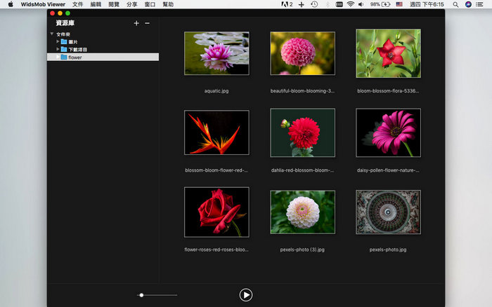 WidsMob Image Viewer Mac版