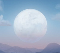 苍月浏览器(Pale Moon) 28.9.4 官方版