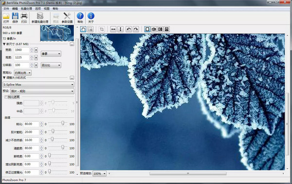 PhotoZoom Pro 8 Mac版 专业版