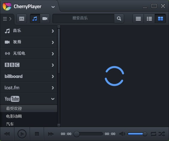 CherryPlayer破解 3.0.5 中文版
