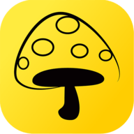 蘑菇丁 3.3.5 安卓版