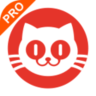 猫眼专业版实时票房(实时查询) 6.13.0 最新版