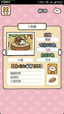 猫咪后院游戏