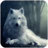 森林荒原狼模拟器手游 1.0.2 安卓版