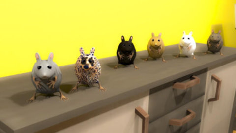 老鼠生存模拟器3D手机版
