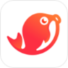 江团App 1.1.4 安卓版