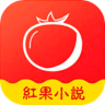 红果小说app 5.3.7.33 安卓版