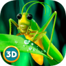 蚱蜢昆虫模拟器游戏 1.0 安卓版